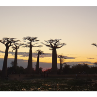 Willkommen zu Ny Kintana